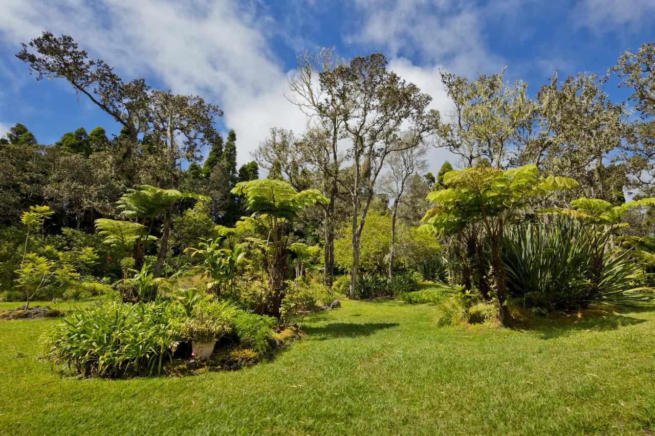 Hale 'Ohu Bed & Breakfast Volcano Eksteriør billede